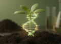 Genetic Deletion Rewrites the Rules of Methylation Inheritance in Plants