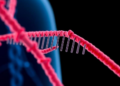 Detox Gene Variants Linked to Lower Prostate Cancer Risk in Iraqi Arab Men