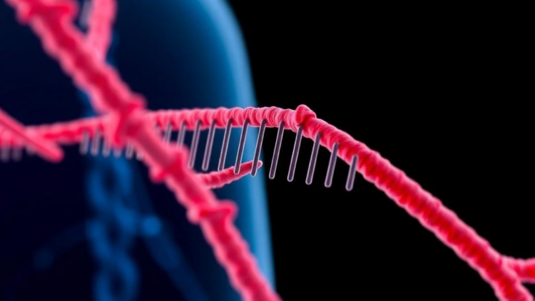 Detox Gene Variants Linked to Lower Prostate Cancer Risk in Iraqi Arab Men