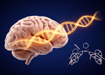 Hidden DNA Repeats in the Brain May Shape Splicing and Disease Risk