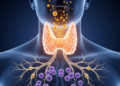 Thyroid Hormone Signals Shift in Parkinson's Disease as Immune Coupling Breaks Down