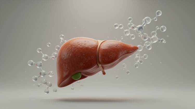 Menopausal hormone therapy shows no overall effect on liver cancer in landmark randomized trials