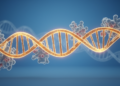 Time to Study the RNA Itself: Rebalancing the Non-Coding RNA Research Agenda