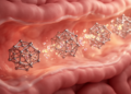 Hydrogen-Storing Frameworks Deliver Therapeutic Gas Deep Into the Gut