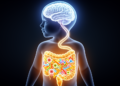 Gut Microbes Linked to Brain Abnormalities in Childhood Vascular Disease