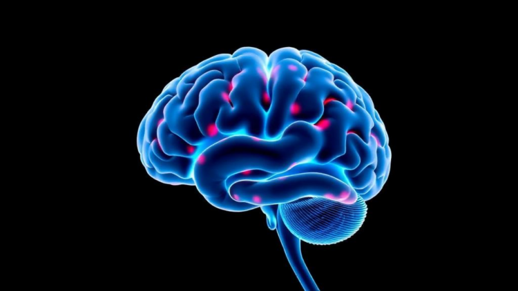 Lactate's Hidden Switch: How a Once-Dismissed Metabolite Shapes Brain Repair and Degeneration