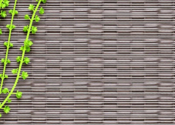 Hidden chromosome surprises in Turkish wild alfalfa reveal a karyotype unlike any commercial cultivar