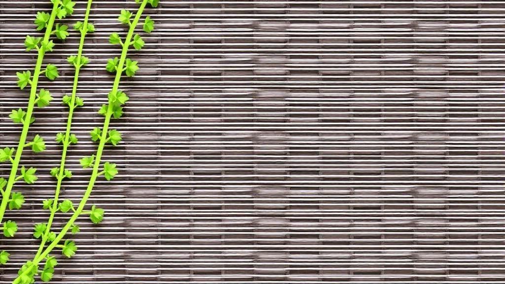 Hidden chromosome surprises in Turkish wild alfalfa reveal a karyotype unlike any commercial cultivar