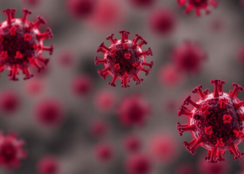 Reston virus genomes hint at decades of undetected circulation