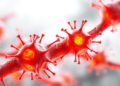 Bone marrow stromal cells arm leukaemia cells with antioxidant shield that blocks chemotherapy
