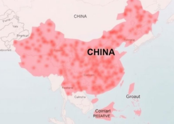 Novel Cholera-Relative Strain ST2040 Emerges in Coastal China Without Cholera Toxin
