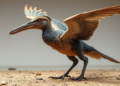 Jurassic flightless bird reveals early ecological diversity of avialans