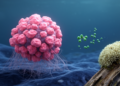 Marine Fungus Compound MHO7 Blocks Spread of Triple-Negative Breast Cancer by Disabling FAK Signaling