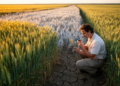 Barley Landraces Reveal Two Winning Strategies Against Drought Stress