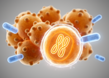 Deadly fungus beats antifungal drugs by copying its whole genome