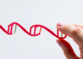 DNA Test Outperforms Standard Assays in Head-to-Head HIV Diagnosis Trial