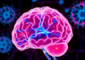 Brain-Style NMDA Receptors Rewire Immune Cells Inside Tumors, Review Finds