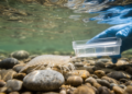 Hidden Amphipods in Crimean Riverbeds Reveal Two New Ancient Species