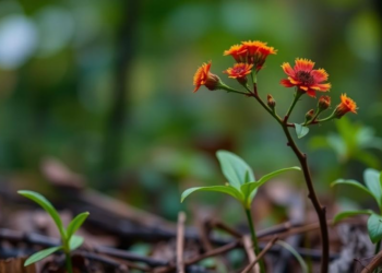 AI Could Predict How Nature Changes, If Ecologists Learn to Read Organisms' Senses