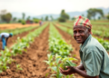 Credit and Extension Services Keep Ethiopian Farmers on the Path to Climate-Resilient Agriculture