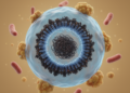 How Toxic Exposures Jam the Cell's Nuclear Doorway in Parkinson's Disease