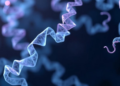 AlphaFold Structures Turn Light-Sensitive Protein Variants Into Predictable Molecular Maps