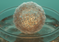 3D Tumor Models Expose How Biliary Tract Cancers Evade Chemotherapy