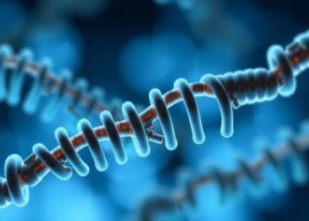 The Hidden RNA Master Switch That Behaves Differently in Every Cancer