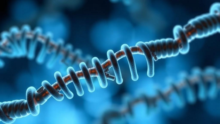 The Hidden RNA Master Switch That Behaves Differently in Every Cancer