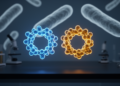 Computational Screening Points to Two Quinoline Candidates Against Tuberculosis and Resistant Infections