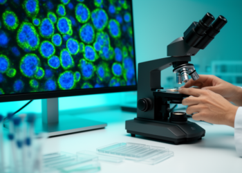 AI transforms fluorescence microscopy from image capture to biological discovery
