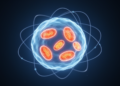 Earth's magnetic field may shape ageing, mitochondria and lifespan