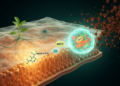 Plant Compound Acteoside Shields Retinal Cells From Sugar-Driven Ferroptosis by Switching On NRF2