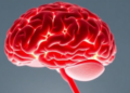 How Metabolic Syndrome May Prime the Brain's Immune Cells and Weaken Its Brakes Against Seizures