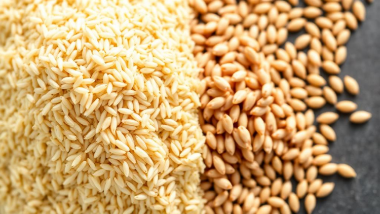 Rice Powder Boosts Spore Yields but Sorghum Grain Keeps Trichoderma Alive in Storage