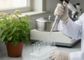 Stable Reference Genes Unlock Reliable Gene Expression Analysis in a Classic Chinese Medicinal Herb