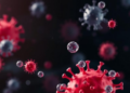 Large Extracellular Vesicles Step Out of the Shadow of Exosomes in Landmark Review