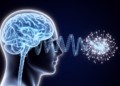 Spiking AI Learns to Fake Brainwaves Without Leaking Your Thoughts