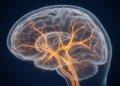 Memory as a Selection Process: New Framework Rethinks How Experiences Become Lasting Knowledge