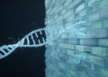 Bigger Reference Databases Are Quietly Eroding the Accuracy of Metagenomic Classification