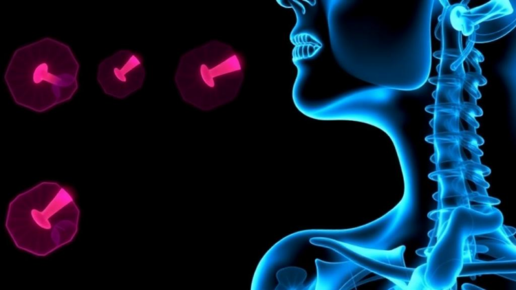 Small Thyroid Cancers Grow When Surgery Is Delayed, Study Warns