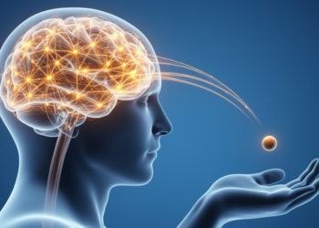 Catching a Ball With Your Brain: TMS Maps the Hidden Network Behind Interception