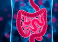Gut Microbes Take Center Stage in Gastrointestinal Cancer Research