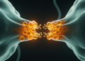 Stress Turns Brain Synapses Into Lipid Toxic Zones, New Review Warns