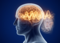 Brain Rhythms Shape How We See: Alpha Waves Gate Vision in Real Time