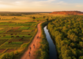 Conservation Beyond Parks: How OECMs Could Reshape the Global 30 by 30 Race