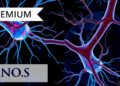 Silencing SLITRK2 Rescues Damaged Nerve-Muscle Connections in FUS-ALS Motor Neurons
