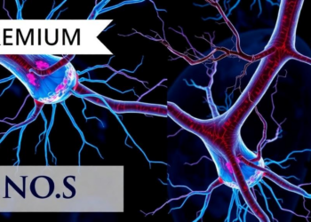 Silencing SLITRK2 Rescues Damaged Nerve-Muscle Connections in FUS-ALS Motor Neurons