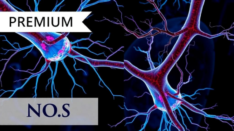 Silencing SLITRK2 Rescues Damaged Nerve-Muscle Connections in FUS-ALS Motor Neurons