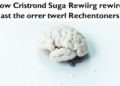 How Chronic Sugar Rewires the Brain's Reward Chemistry